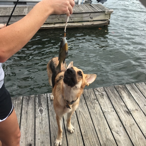 Meet your Posher, Madeliene - Picture 1 of 1